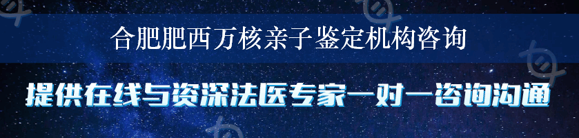 合肥肥西万核亲子鉴定机构咨询